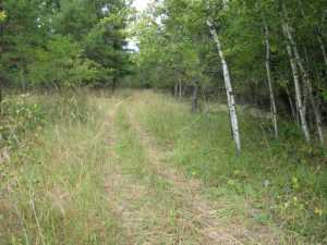 Naturist Legacy History: Gallery 01/08...The new land before purchase