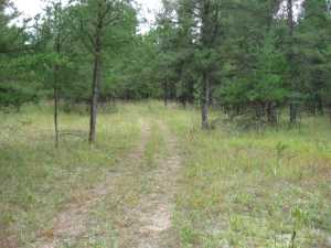 Naturist Legacy History: Gallery 01/11...The new land before purchase