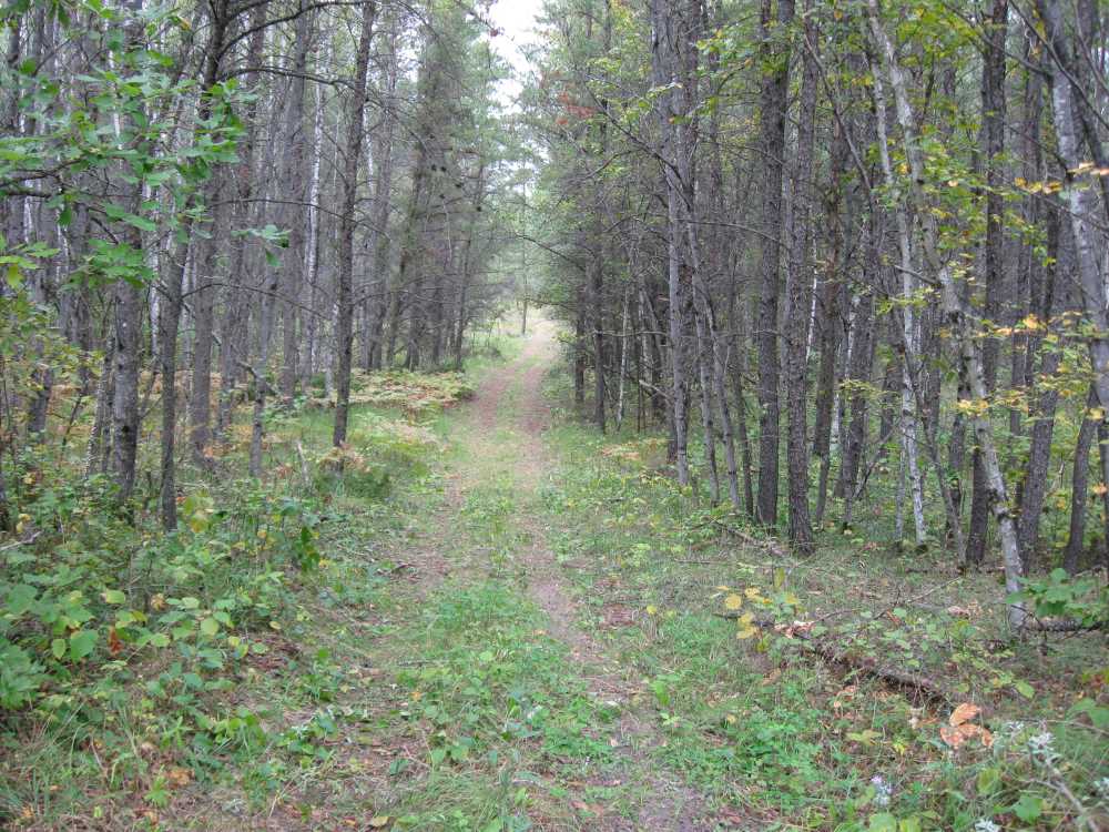 Naturist Legacy History: Gallery 01/25...The new land before purchase