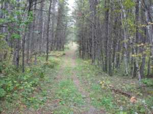 Naturist Legacy History: Gallery 01/25...The new land before purchase