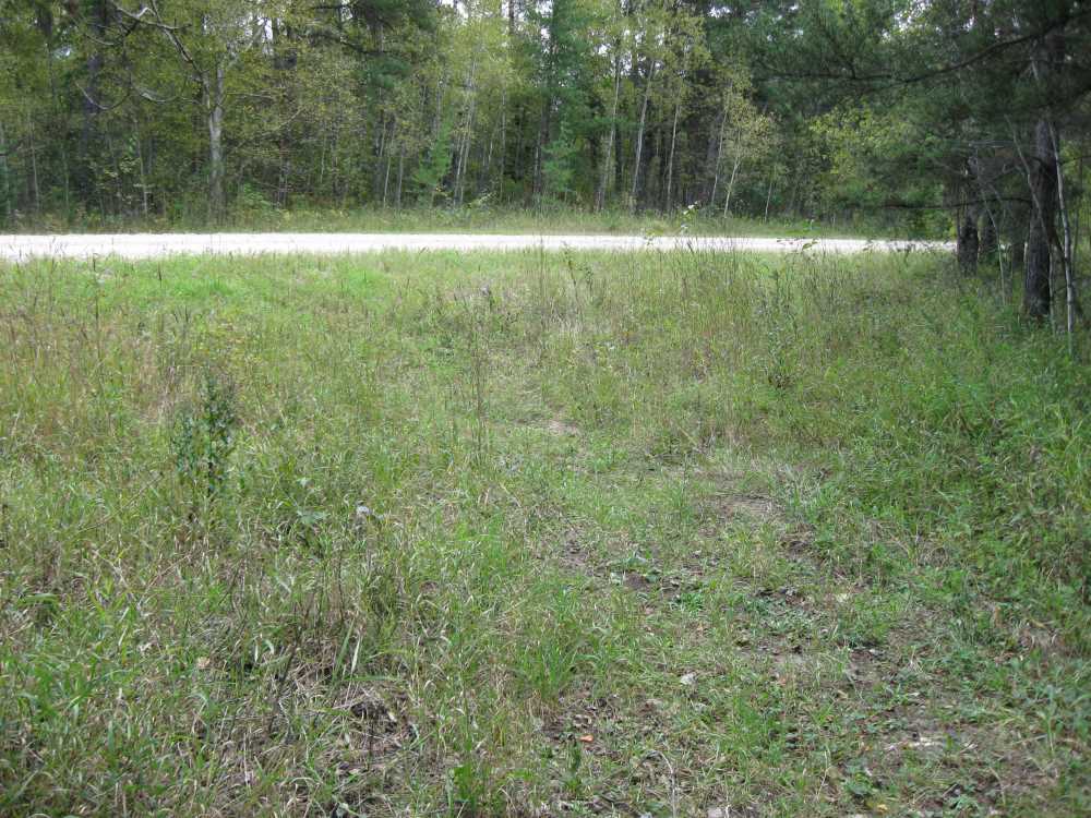 Naturist Legacy History: Gallery 01/32...The new land before purchase