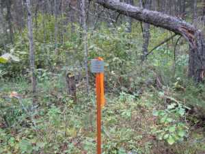Naturist Legacy History: Gallery 01/33...The new land before purchase