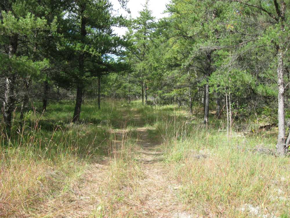 Naturist Legacy History: Gallery 01/47...The new land before purchase