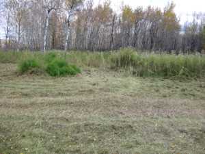 Naturist Legacy History: Gallery 02/02...Clearing roads and land