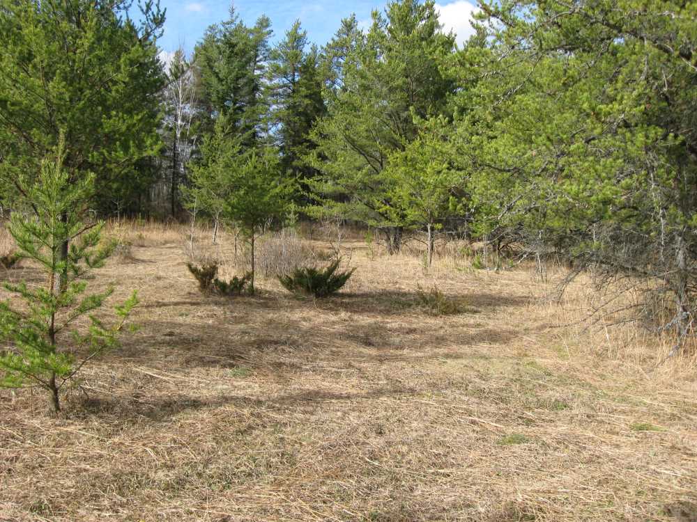 Naturist Legacy History: Gallery 02/10...Clearing roads and land