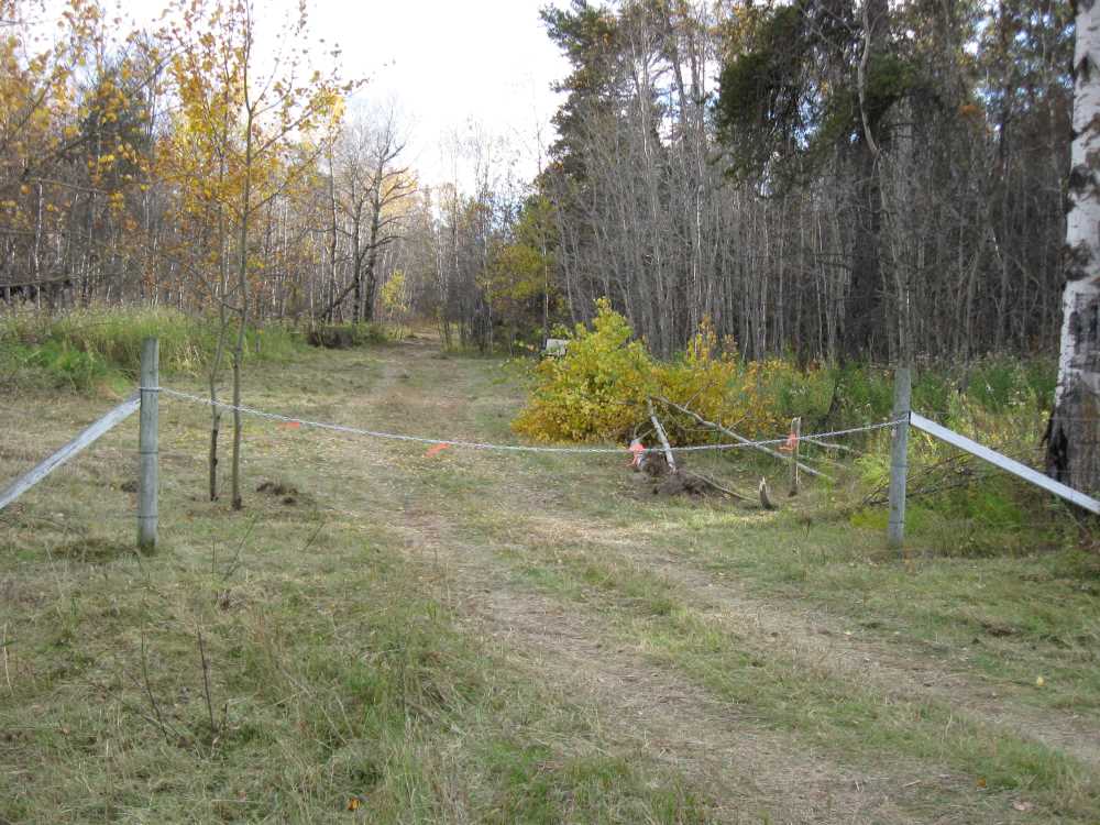 Naturist Legacy History: Gallery 02/12...Clearing roads and land