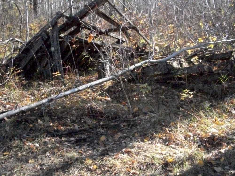 Naturist Legacy History: Gallery 02/17...Clearing roads and land