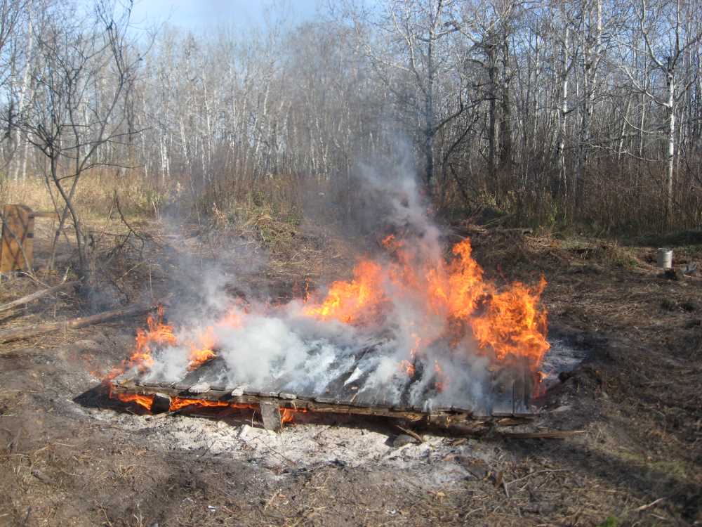 Naturist Legacy History: Gallery 02/19...Clearing roads and land