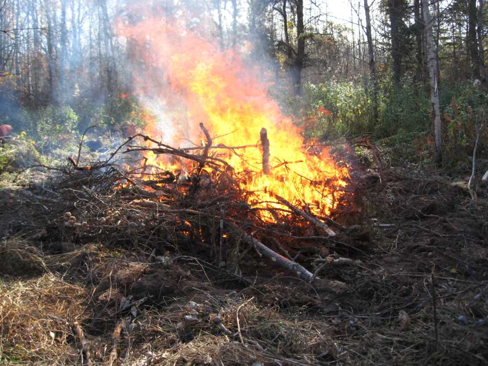 Naturist Legacy History: Gallery 02/20...Clearing roads and land