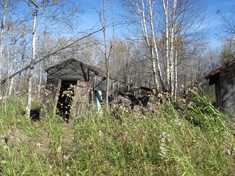 Naturist Legacy History: Gallery 02/25...Clearing roads and land