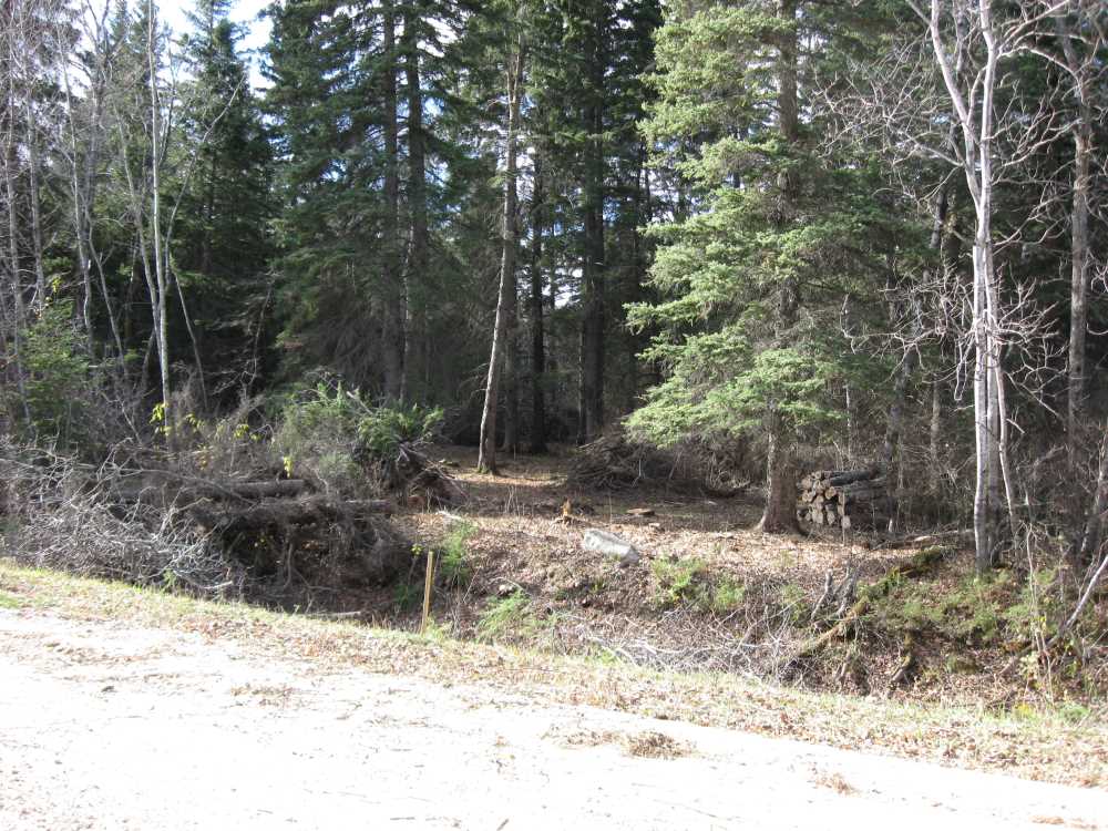 Naturist Legacy History: Gallery 03/08...Clearing the Hydro line corridor