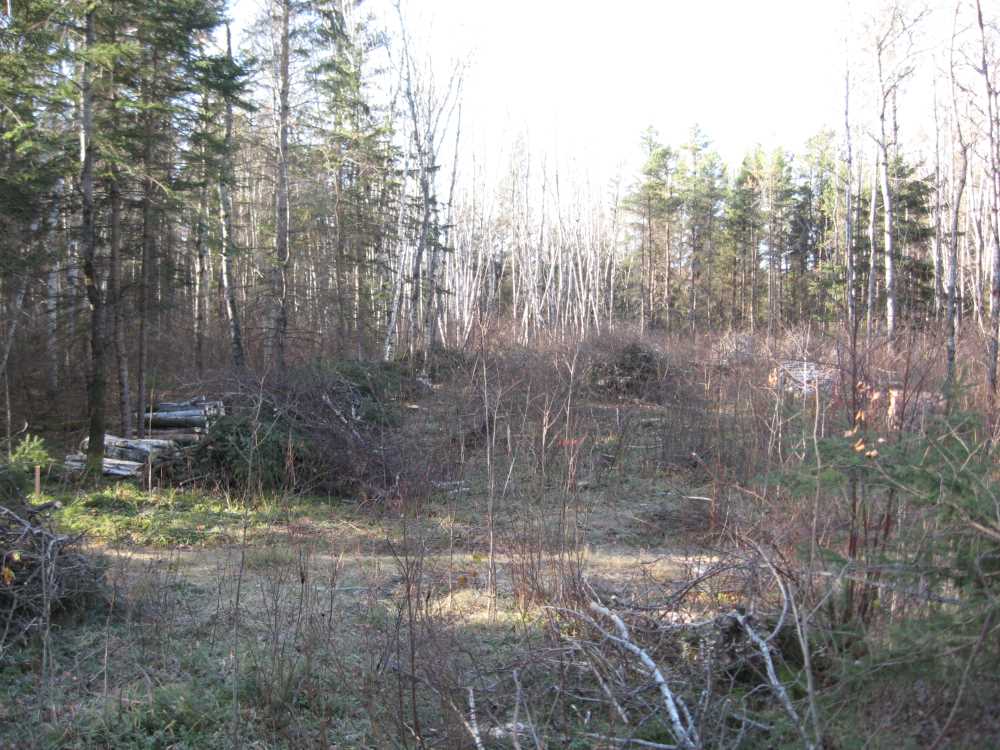 Naturist Legacy History: Gallery 03/14...Clearing the Hydro line corridor
