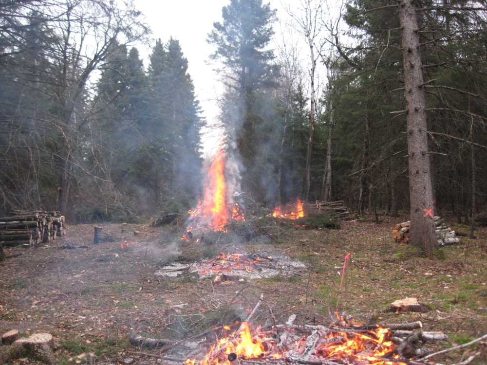 Naturist Legacy History: Gallery 03/15...Clearing the Hydro line corridor