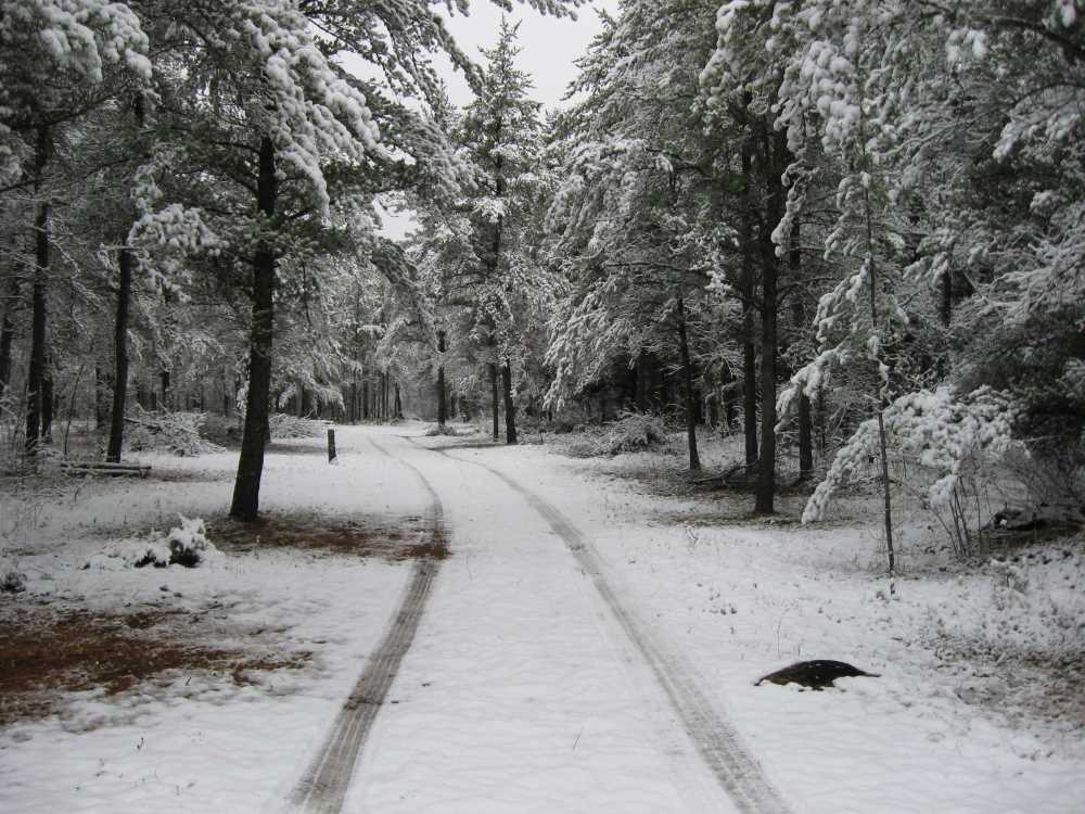 Naturist Legacy History: Gallery 03/20...Clearing the Hydro line corridor