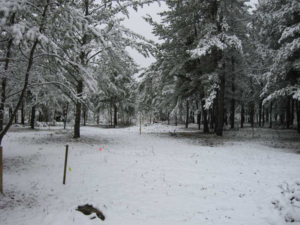 Naturist Legacy History: Gallery 03/23...Clearing the Hydro line corridor