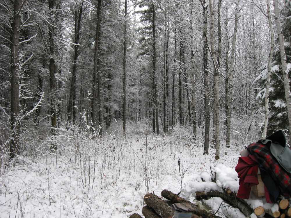 Naturist Legacy History: Gallery 03/26...Clearing the Hydro line corridor