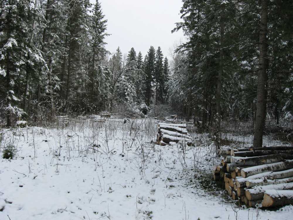 Naturist Legacy History: Gallery 03/27...Clearing the Hydro line corridor