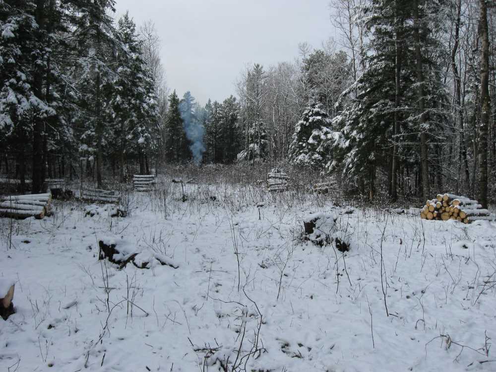 Naturist Legacy History: Gallery 03/28...Clearing the Hydro line corridor