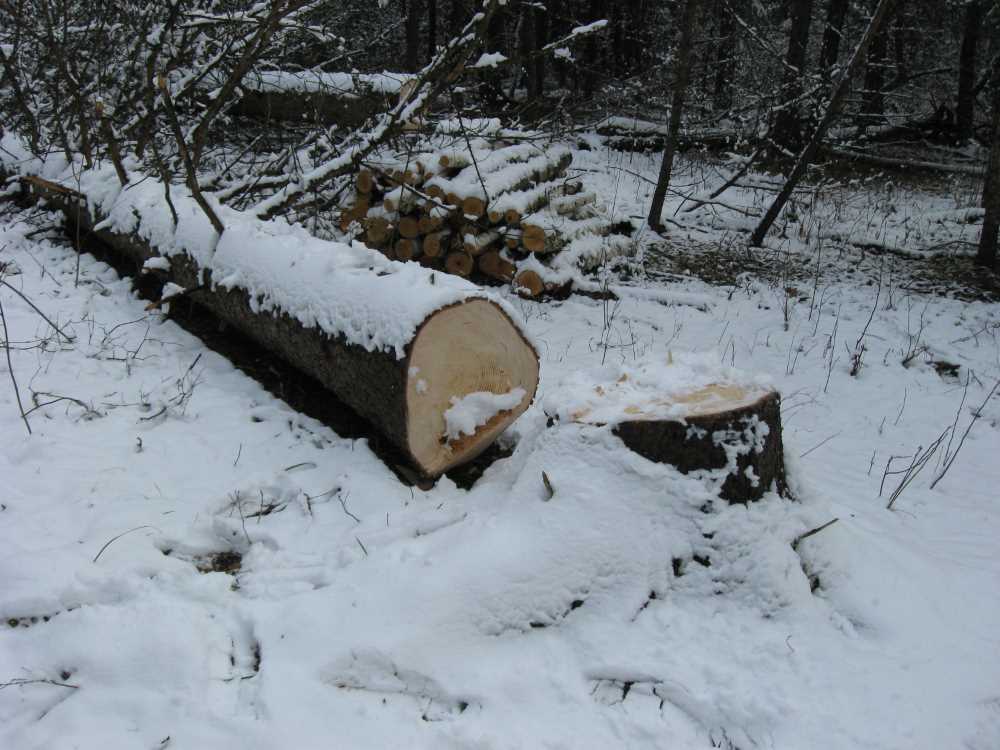 Naturist Legacy History: Gallery 03/31...Clearing the Hydro line corridor