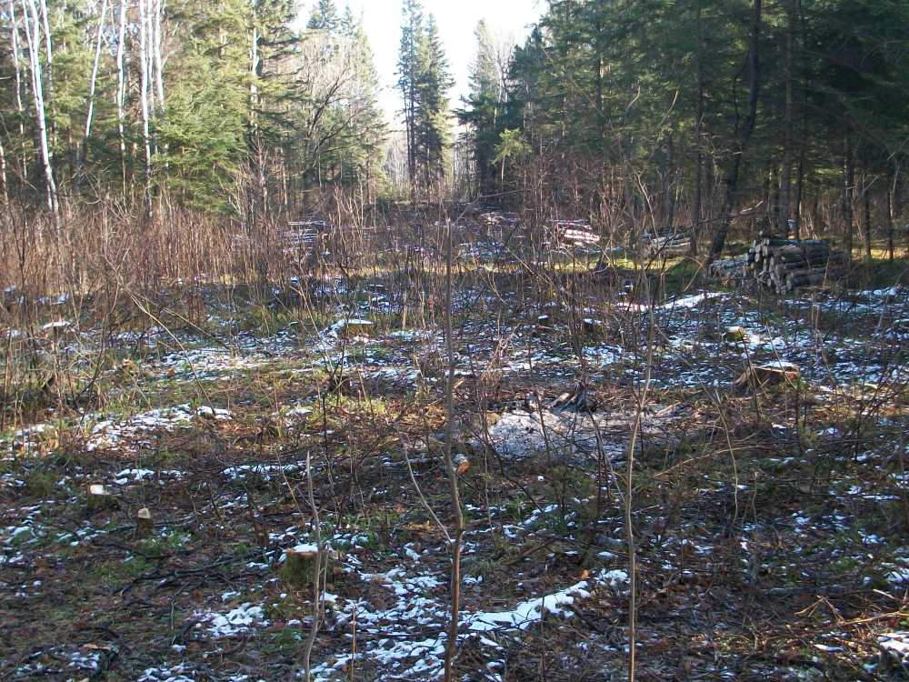 Naturist Legacy History: Gallery 03/34...Clearing the Hydro line corridor