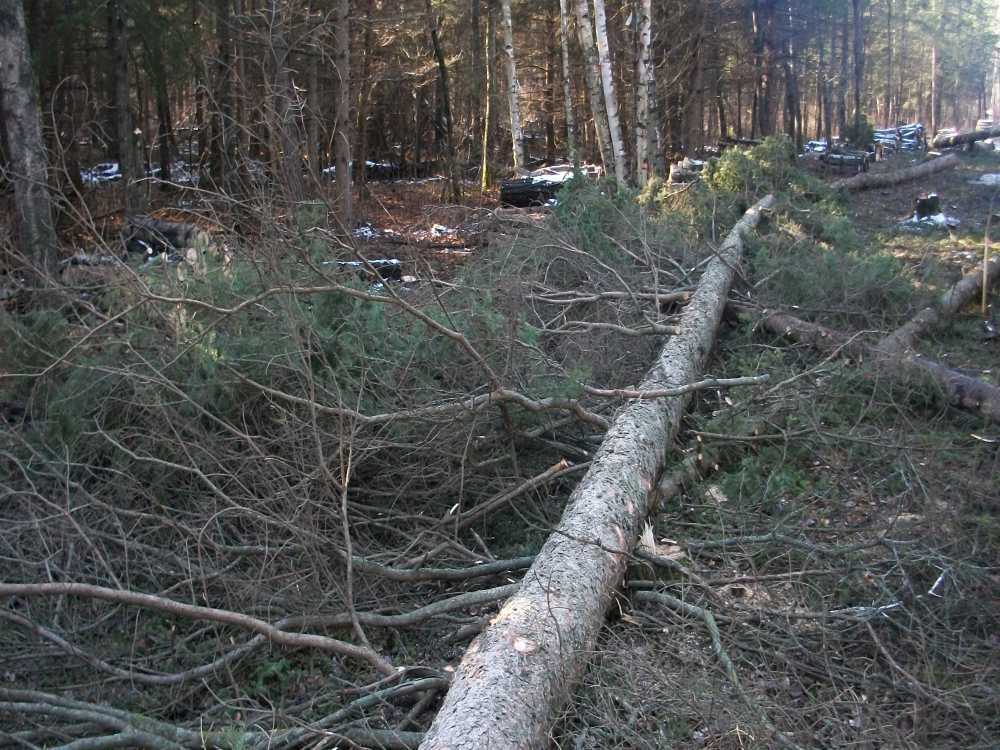 Naturist Legacy History: Gallery 03/36...Clearing the Hydro line corridor
