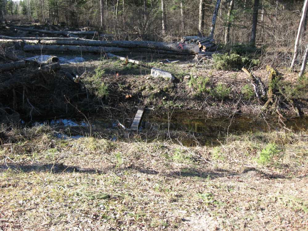 Naturist Legacy History: Gallery 03/40...Clearing the Hydro line corridor
