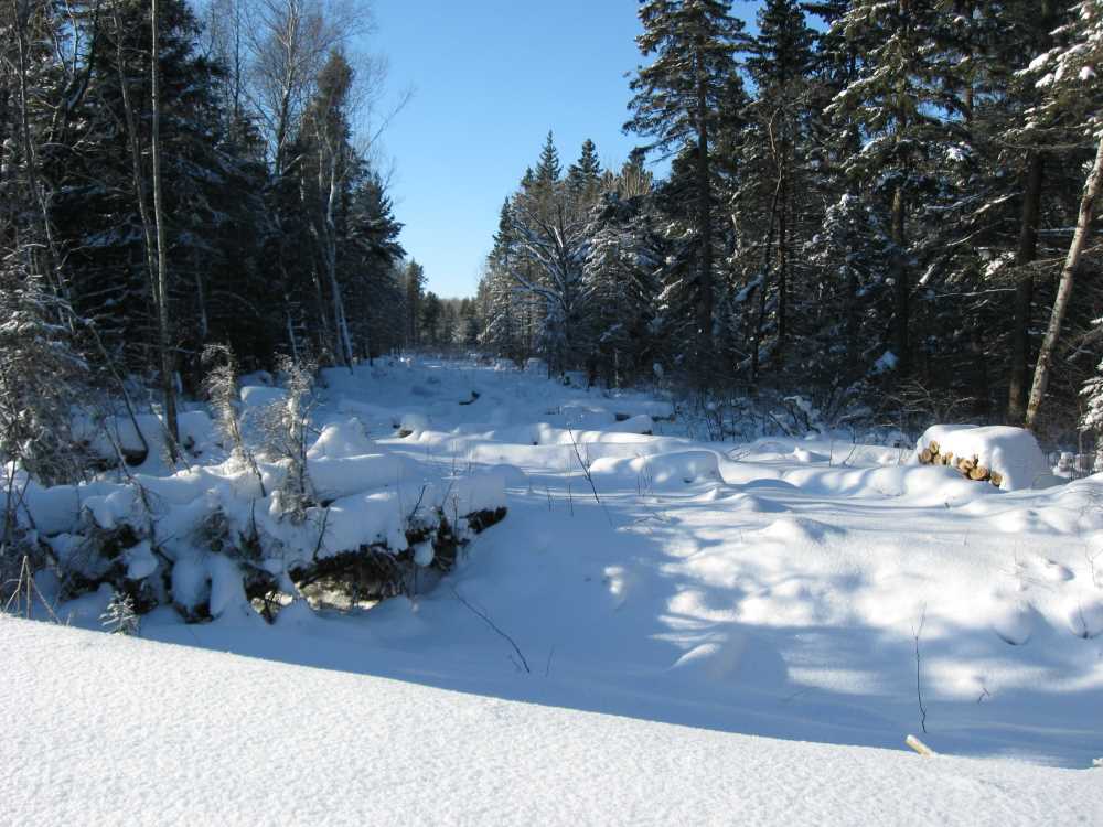 Naturist Legacy History: Gallery 05/04...The new land under December snow