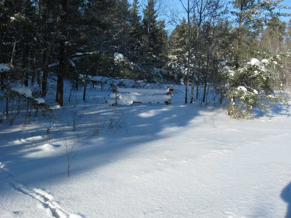 Naturist Legacy History: Gallery 05/07...The new land under December snow