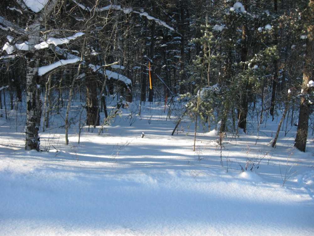 Naturist Legacy History: Gallery 05/08...The new land under December snow