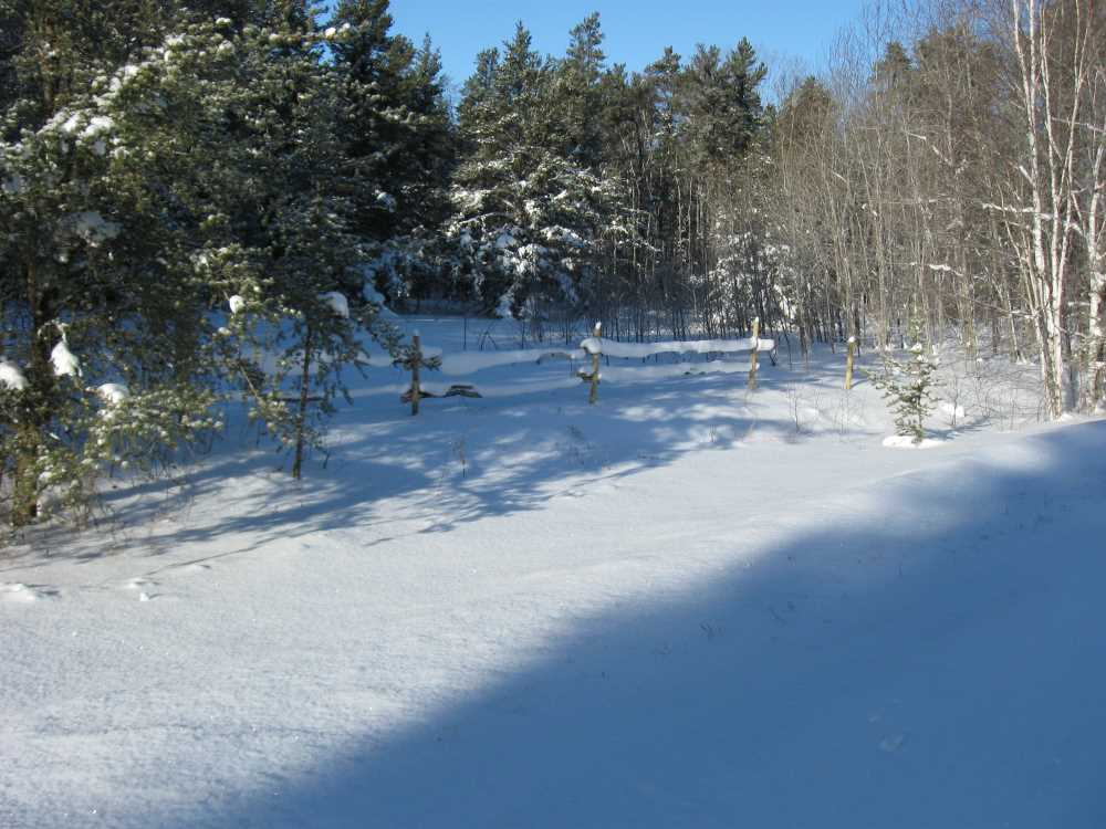 Naturist Legacy History: Gallery 05/11...The new land under December snow