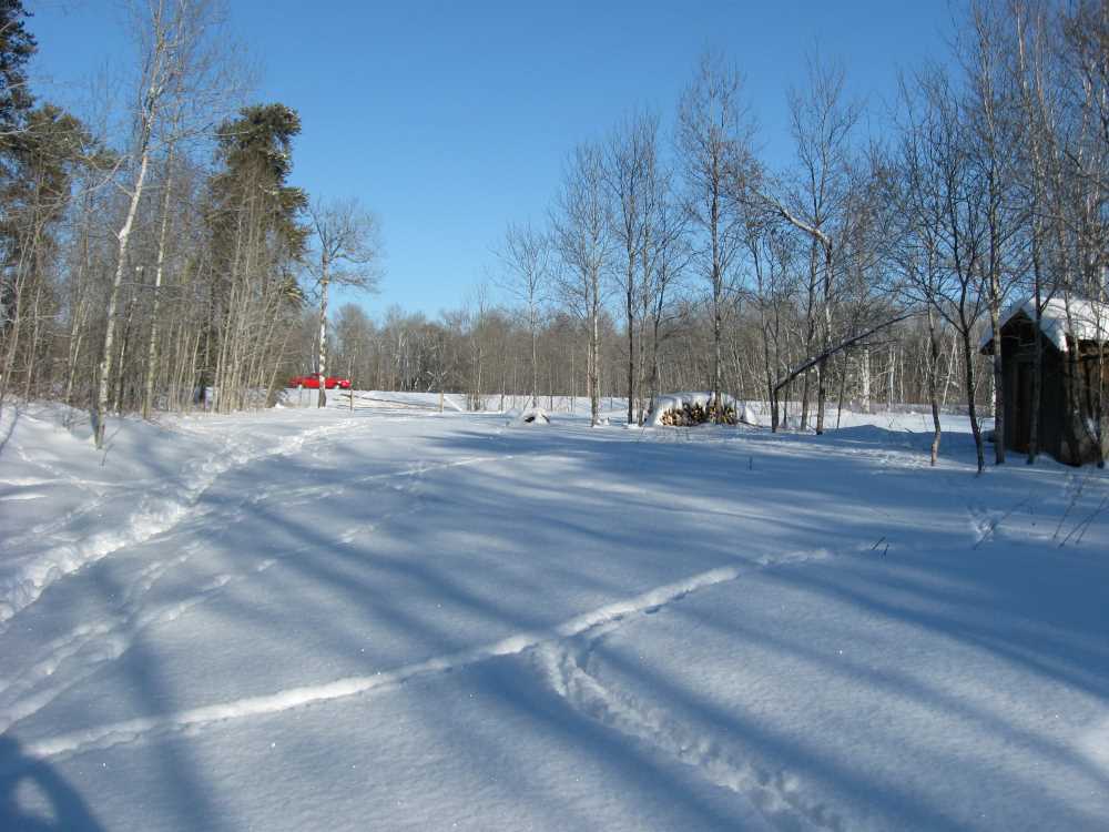 Naturist Legacy History: Gallery 05/17...The new land under December snow