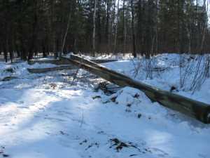Naturist Legacy History: Gallery 06/03...Hydro tries winter pole installation