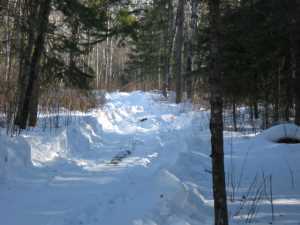 Naturist Legacy History: Gallery 06/08...Hydro tries winter pole installation