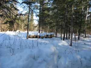 Naturist Legacy History: Gallery 06/09...Hydro tries winter pole installation