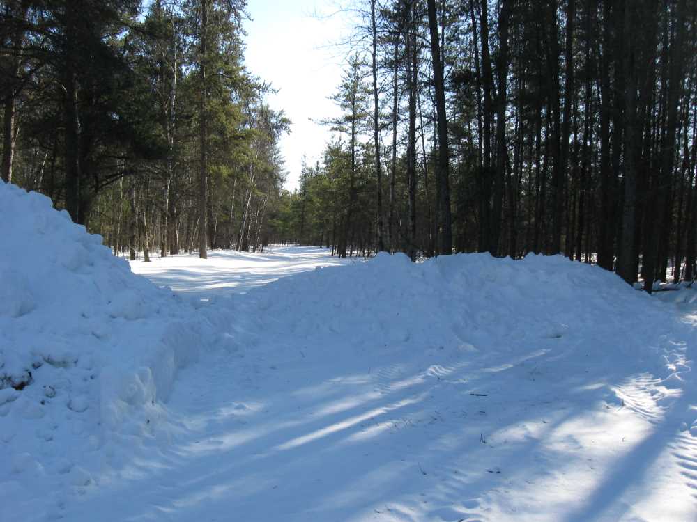 Naturist Legacy History: Gallery 06/21...Hydro tries winter pole installation
