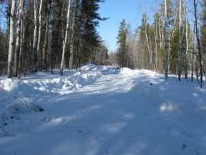 Naturist Legacy History: Gallery 06/23...Hydro tries winter pole installation