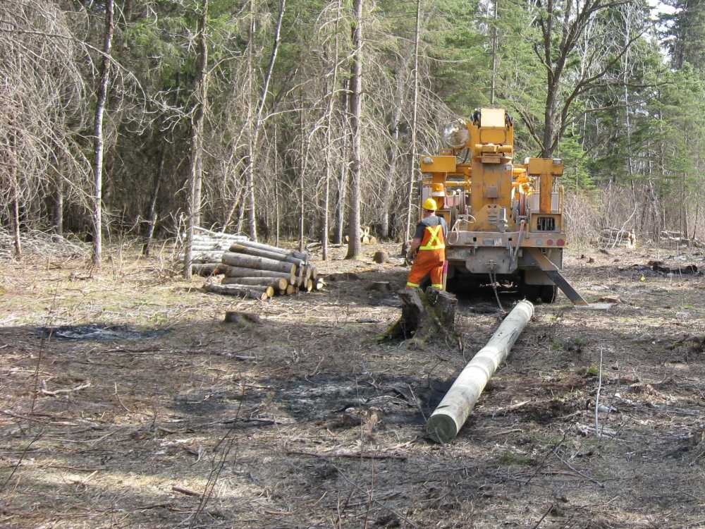 Naturist Legacy History: Gallery 08/01...Hydro installs power line poles
