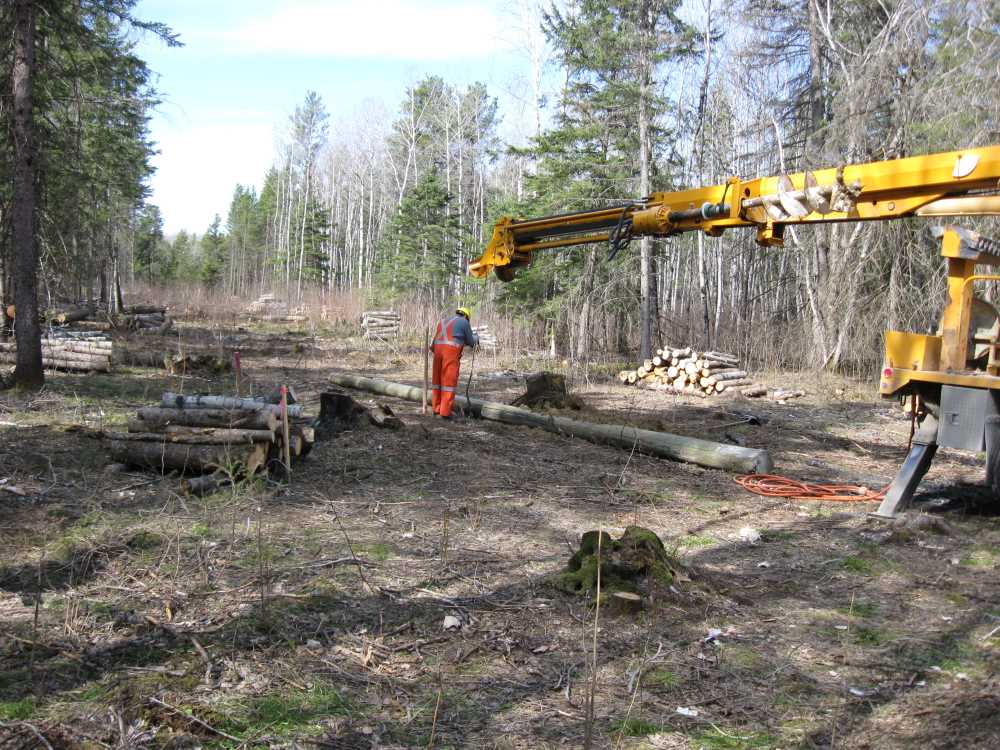 Naturist Legacy History: Gallery 08/09...Hydro installs power line poles