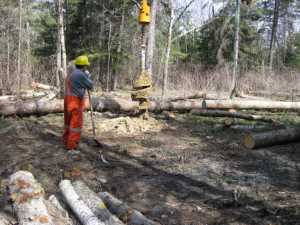 Naturist Legacy History: Gallery 08/18...Hydro installs power line poles