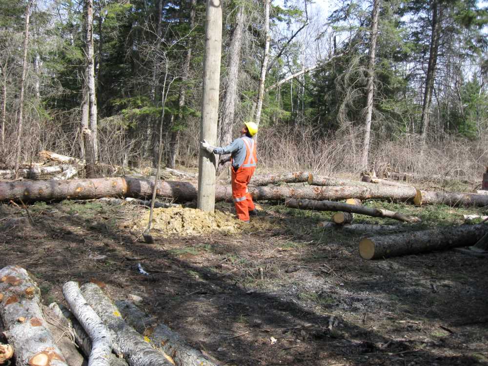Naturist Legacy History: Gallery 08/21...Hydro installs power line poles