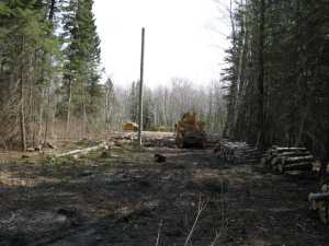 Naturist Legacy History: Gallery 08/23...Hydro installs power line poles