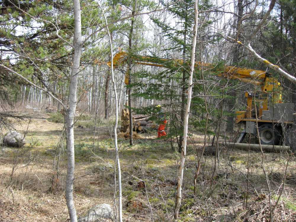 Naturist Legacy History: Gallery 08/32...Hydro installs power line poles