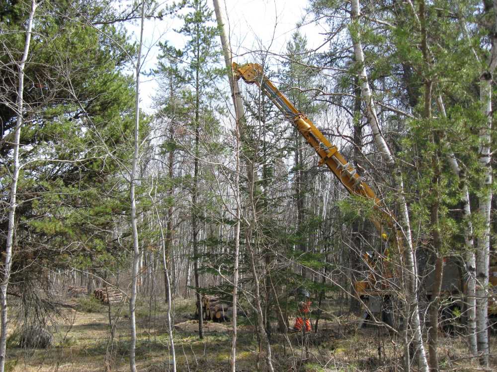 Naturist Legacy History: Gallery 08/35...Hydro installs power line poles