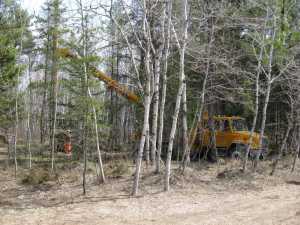 Naturist Legacy History: Gallery 08/36...Hydro installs power line poles