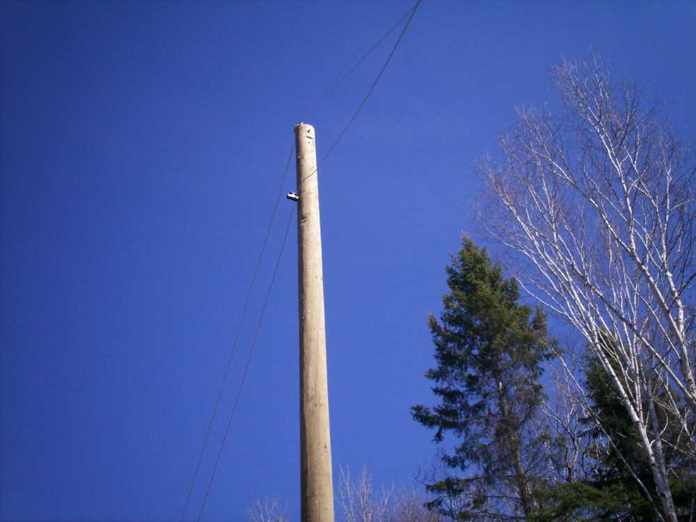 Naturist Legacy History: Gallery 09/08...Hydro installs wires and a transformer