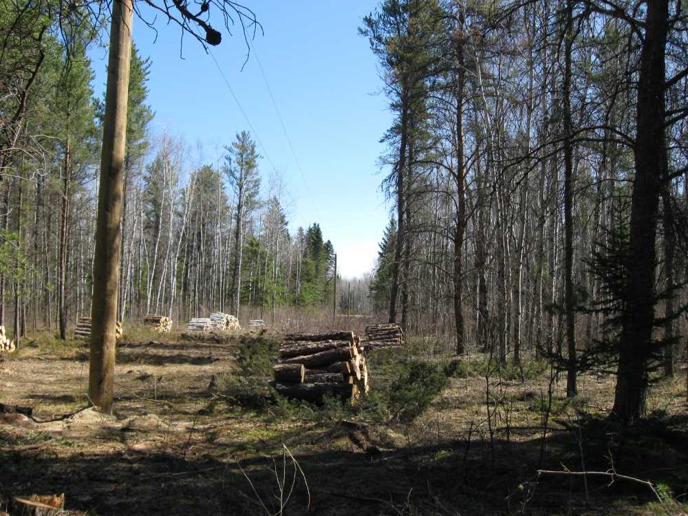 Naturist Legacy History: Gallery 09/32...Hydro installs wires and a transformer