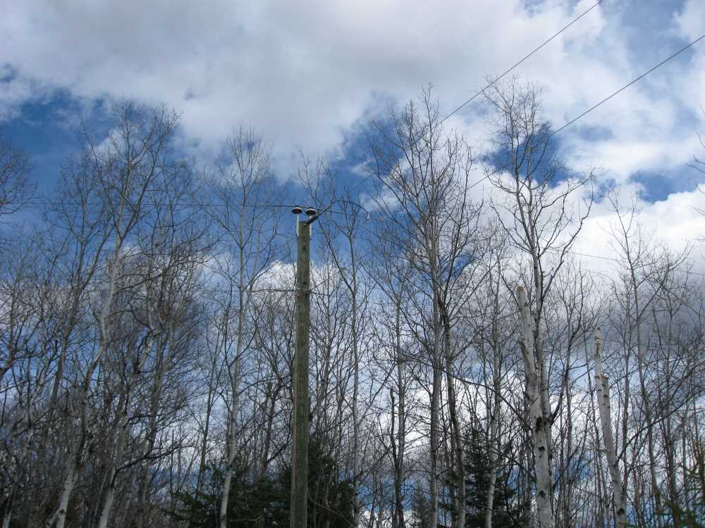 Naturist Legacy History: Gallery 09/35...Hydro installs wires and a transformer