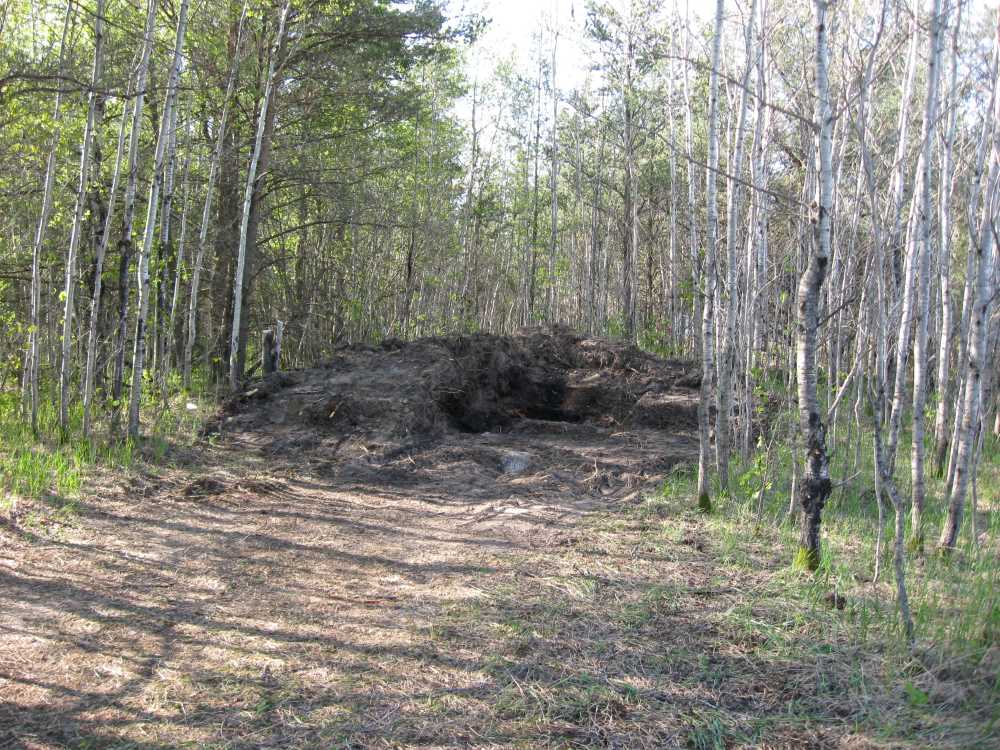 Naturist Legacy History: Gallery 11/06...Members tackle smaller projects