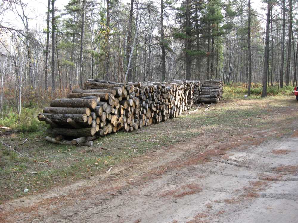 Naturist Legacy History: Gallery 11/14...Members tackle smaller projects