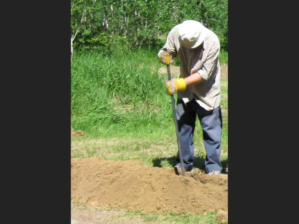 Naturist Legacy History: Gallery 13/05...Trenching in the new phone line